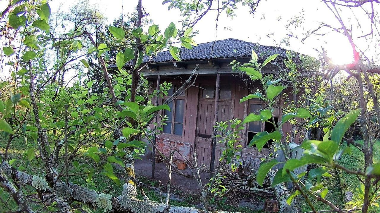 Surmava Palace Martvili Exterior photo